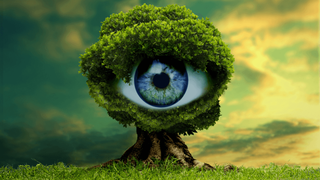 REMOTE VIEWING