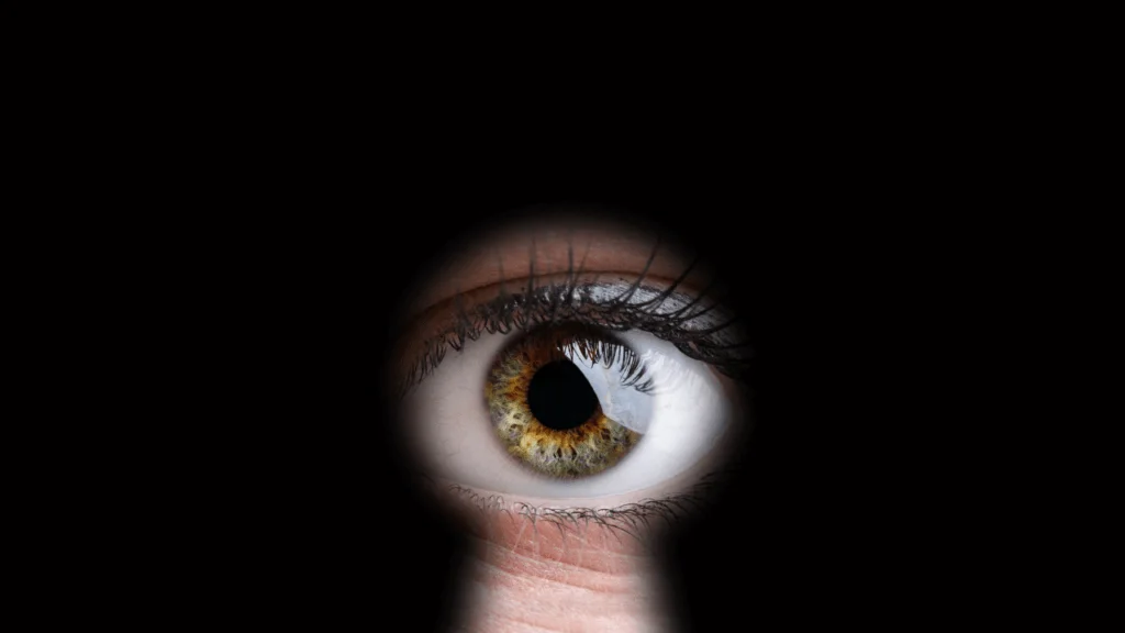REMOTE VIEWING