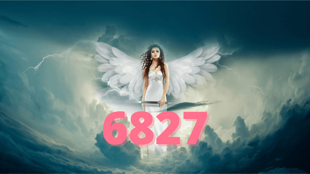 ANGEL NUMBER 6827