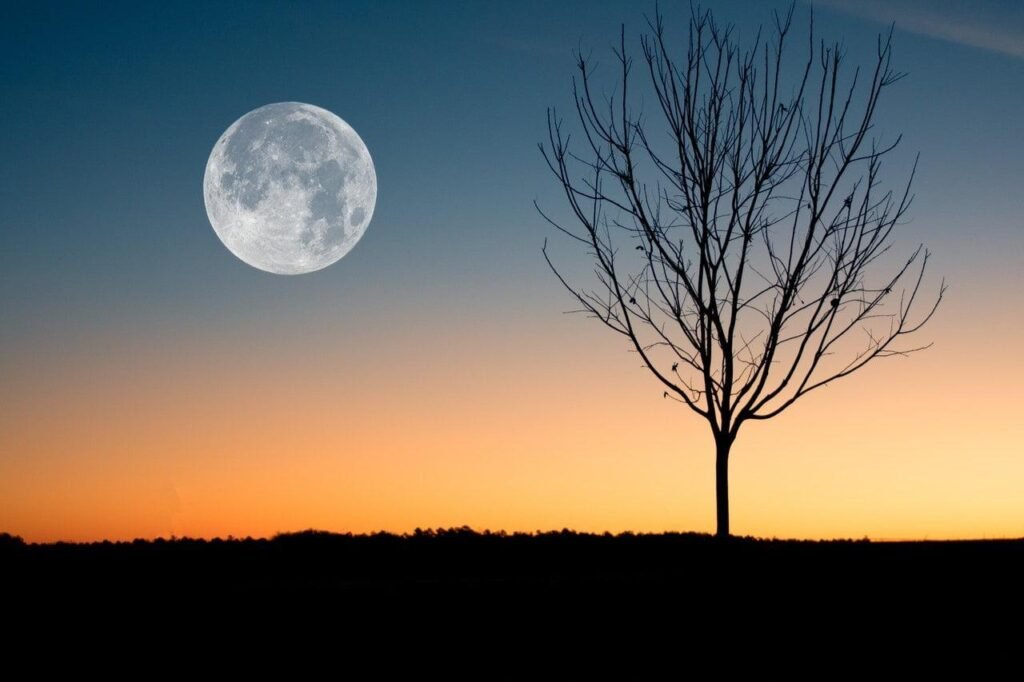 New Moon